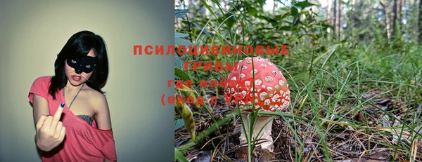 гашишное масло Арсеньев
