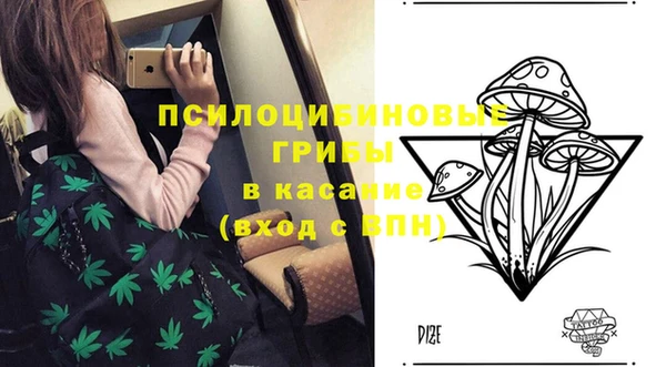 тгк Алексеевка