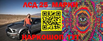 скорость Славгород