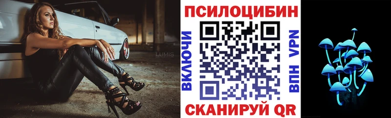 Галлюциногенные грибы мицелий  купить закладку  блэк спрут ССЫЛКА  Солнечногорск 
