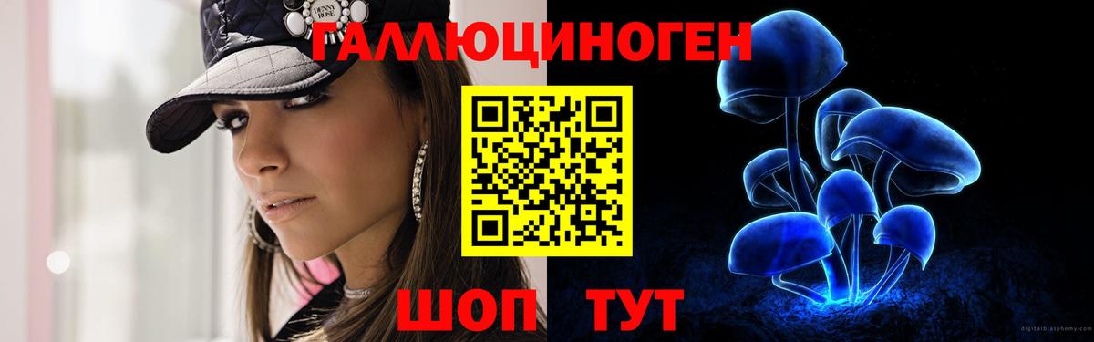 Галлюциногенные грибы мицелий  Вход с VPN  Солнечногорск 